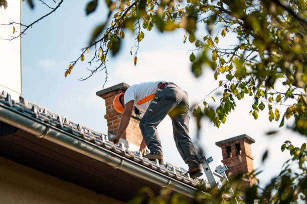 Best Roof Gutter Cleaning  in Opelousas, LA