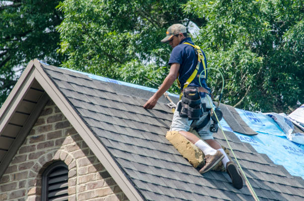 Best Shingle Roofing Installation  in Opelousas, LA
